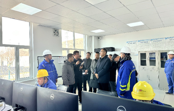 青海省生态环境厅党组书记、、、厅长汤宛峰调研麦王项目