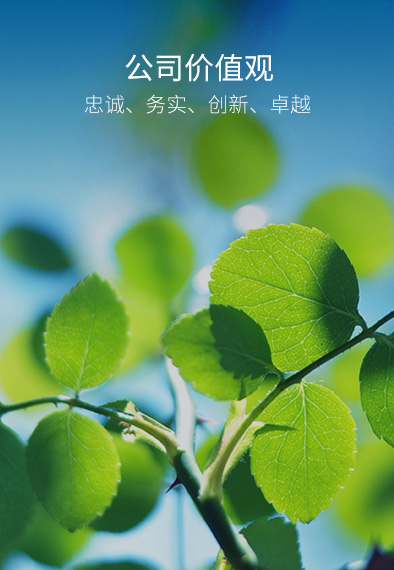 orange橘子平台·(中国区)官方网站
