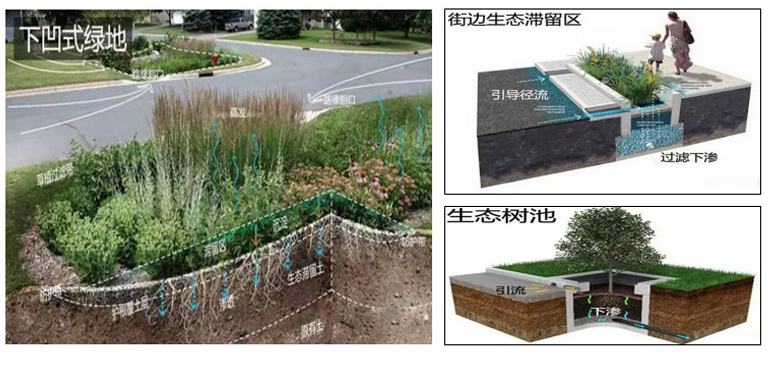 orange橘子平台·(中国区)官方网站